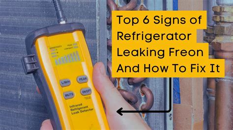 freon leaking from fridge|Signs of Freon Leak in Refrigerator; Here’s How to Fix